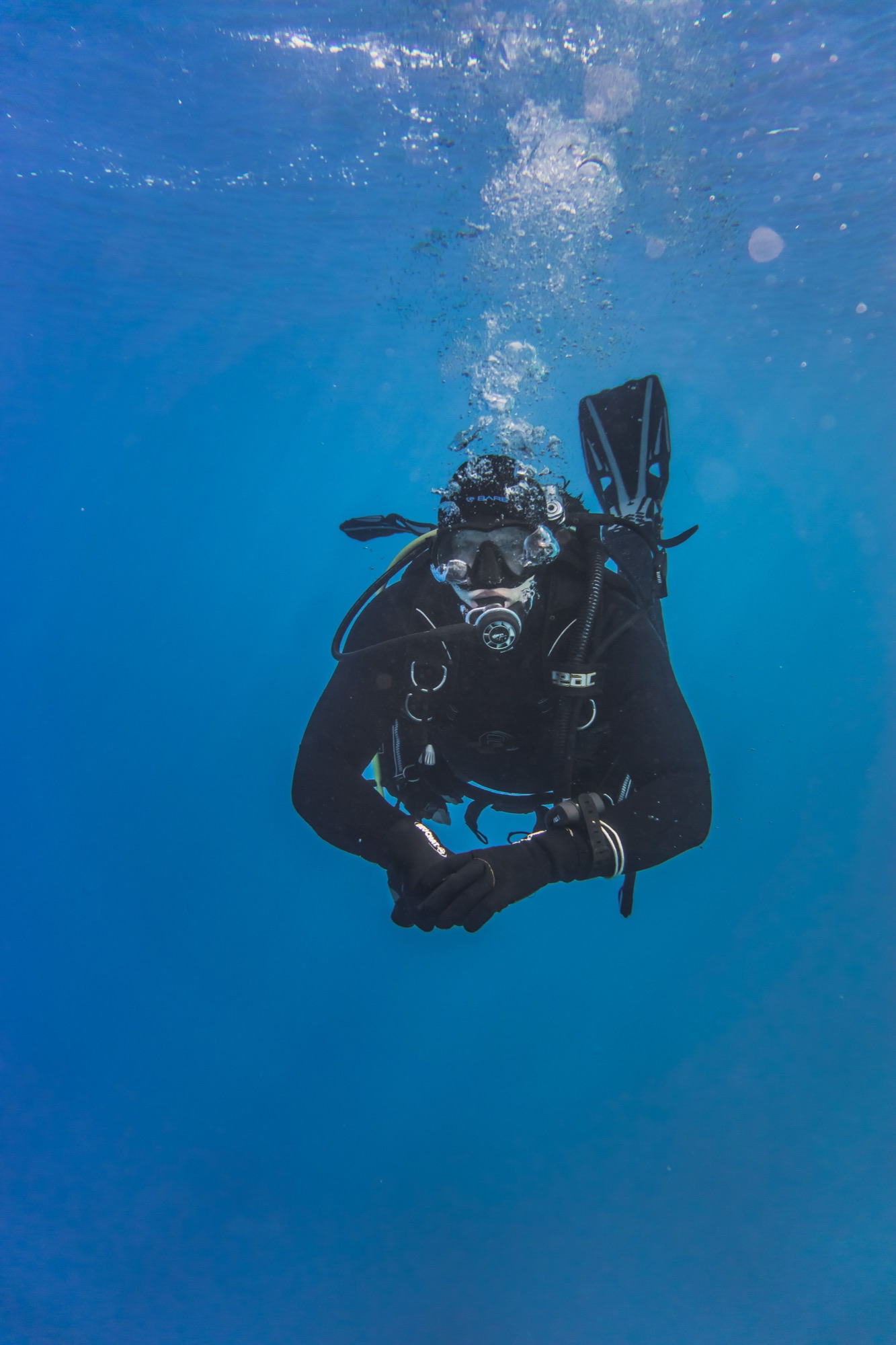 Every Diver, Verified